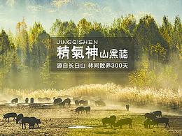 品牌电商及包装设计