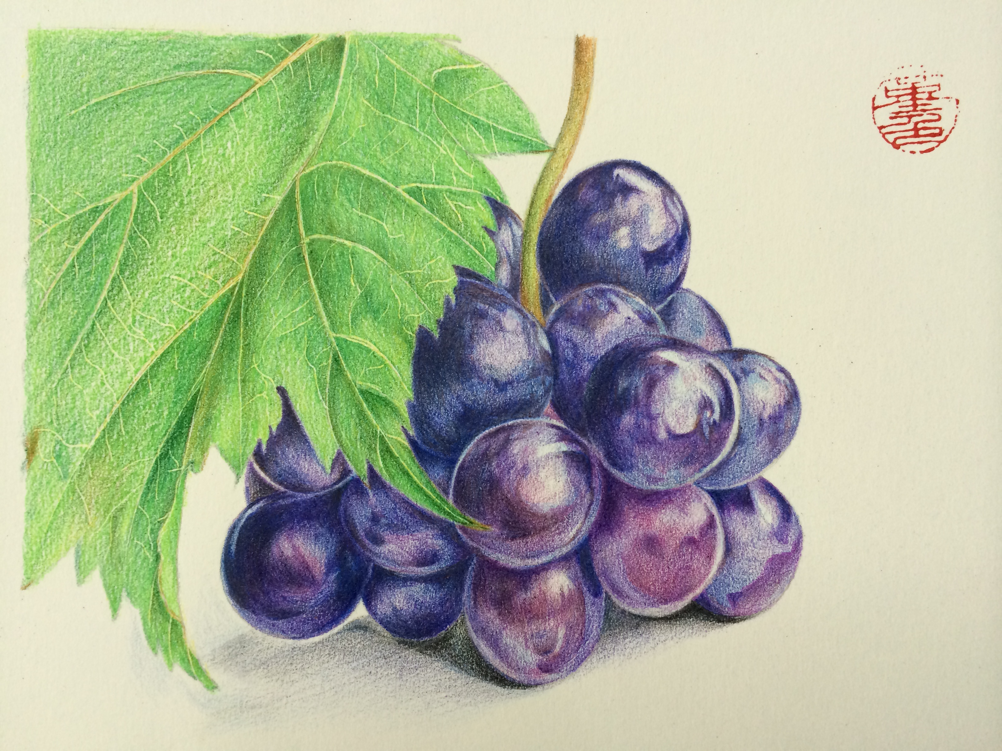 葡萄|纯艺术|绘画|堇色如夏 - 原创作品 - 站酷 (zcool)