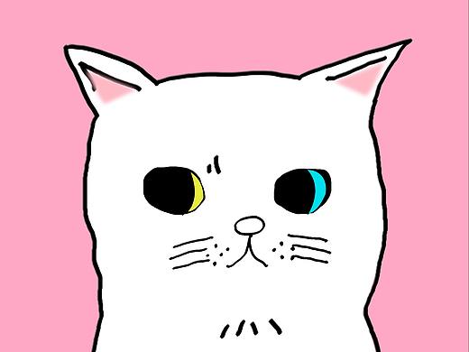 摄影（偶遇猫）（个人主页-ZMzU1NTk3MjQ=） - 宠物摄影 - 站酷设计师我不懂2222222原创素材 - 站酷ZCOOL