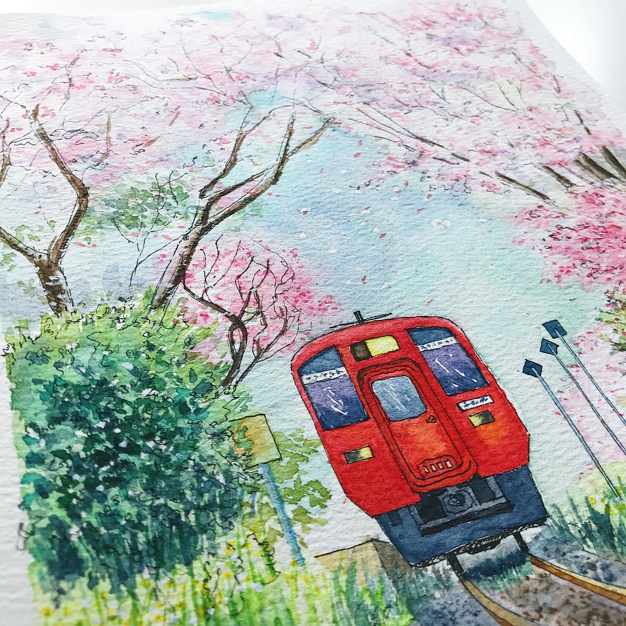 樱花火车手绘水彩练习