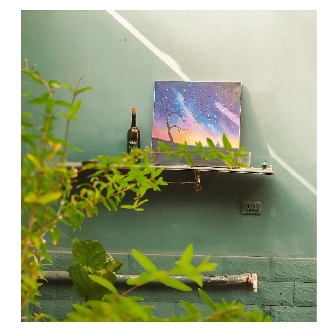 【凡·尚美学】工作室以及肉宝们（图ZMTMzNzY3NDI4） - 产品摄影 - 站酷设计师爱画画的宋先生原创素材 - 站酷ZCOOL