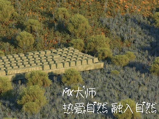 热爱自然 融入自然