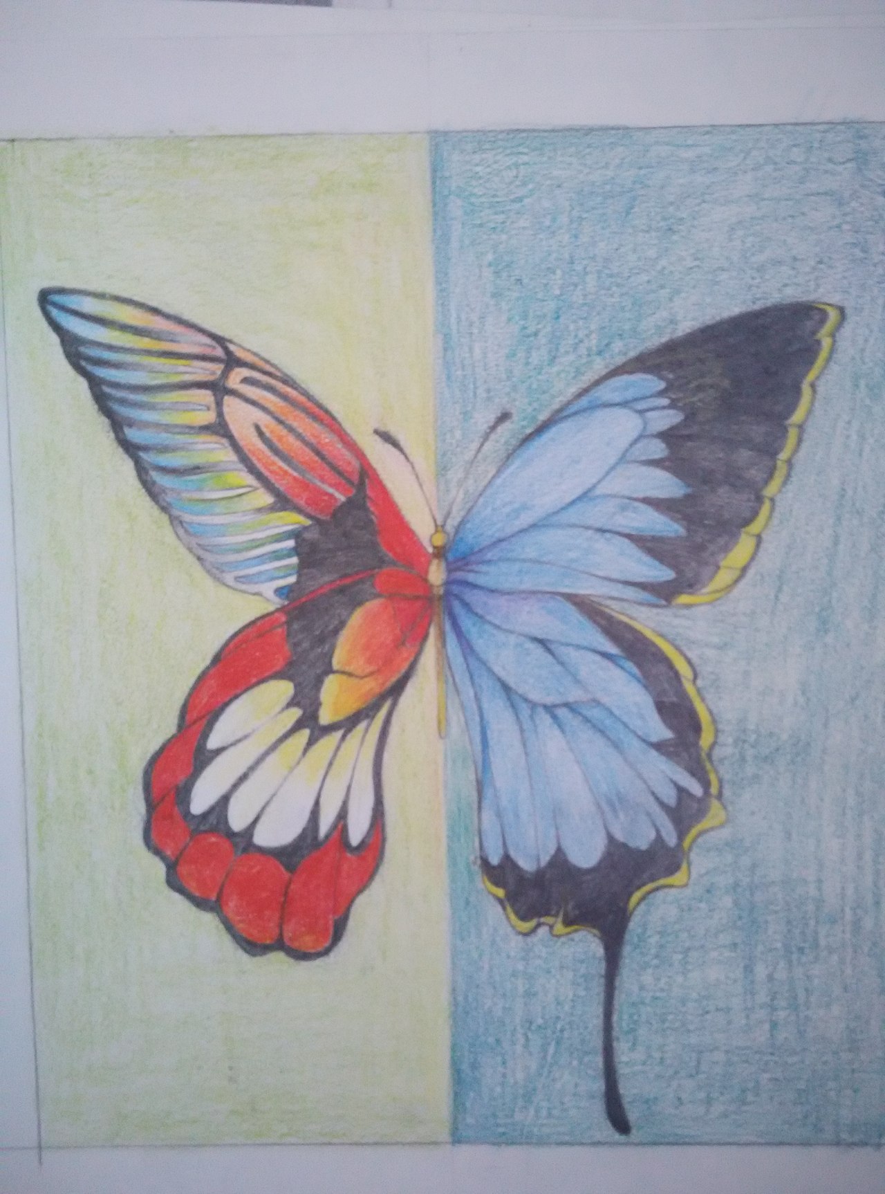 手绘（含临摹）