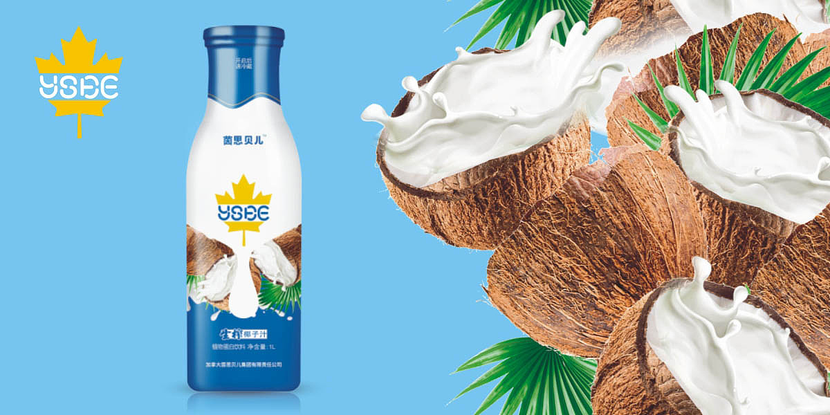 椰子汁包装设计 植物蛋白饮料包装设计 玻璃瓶装饮料包装设计 椰汁礼盒包装设计 饮料品牌包装设计