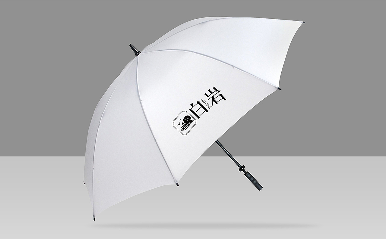 【南都艺设】白岩LOGO设计/字体设计/图形设计/方案A