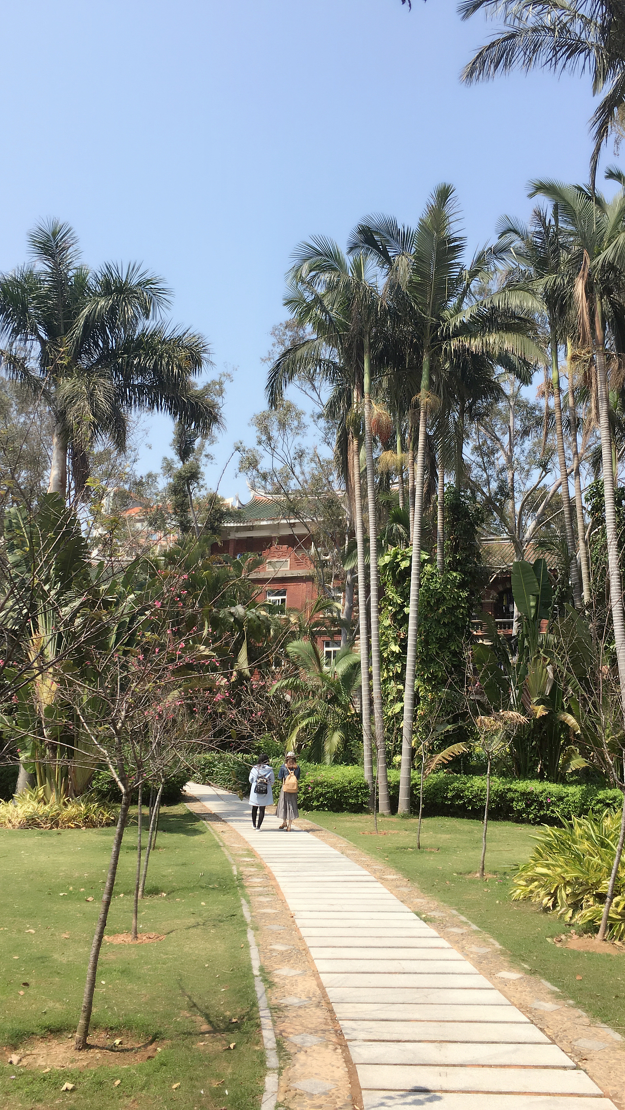 厦门大学走一走（图ZNzg1NTY0NTY=） - 人像摄影 - 站酷设计师1652055183原创素材 - 站酷ZCOOL