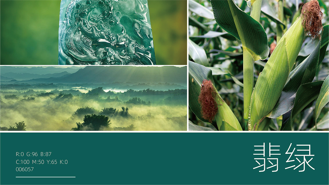 玉金香清食玉米油品牌设计（图ZMjYzNDk5MTM2） - 品牌 - 站酷设计师虎派品牌策划原创素材 - 站酷ZCOOL