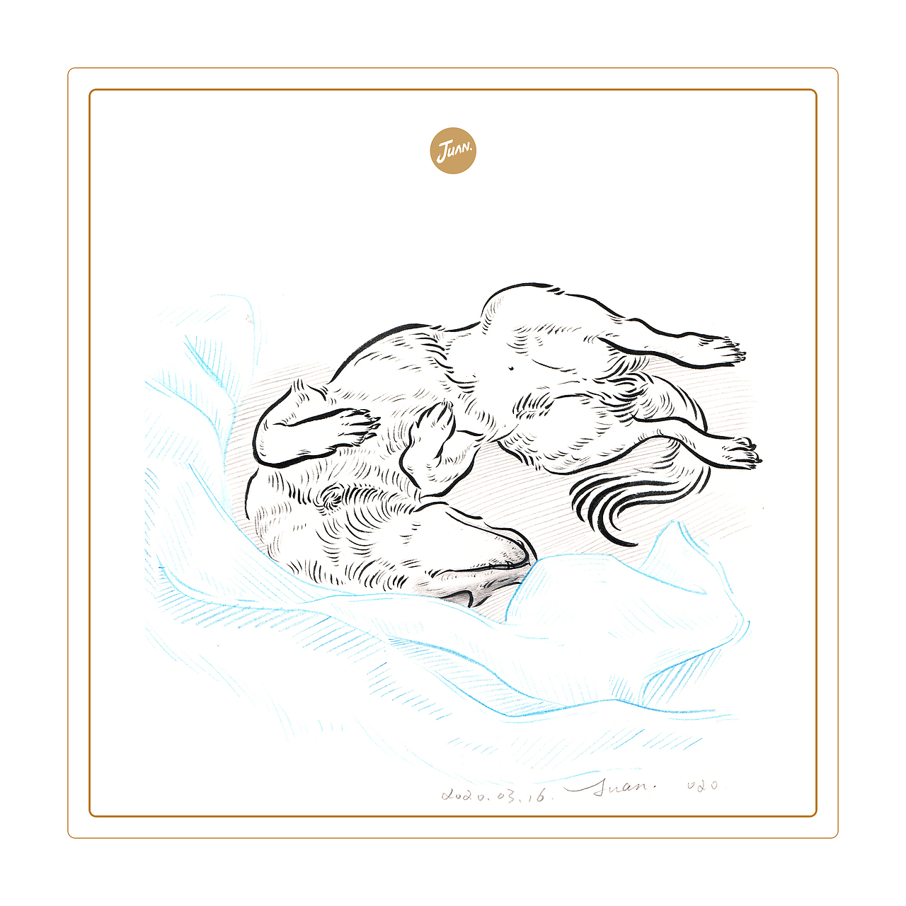 宠物速写（图ZMjA0Mzc1ODI4） - 创作习作 - 站酷设计师刘晓娟JUAN原创素材 - 站酷ZCOOL