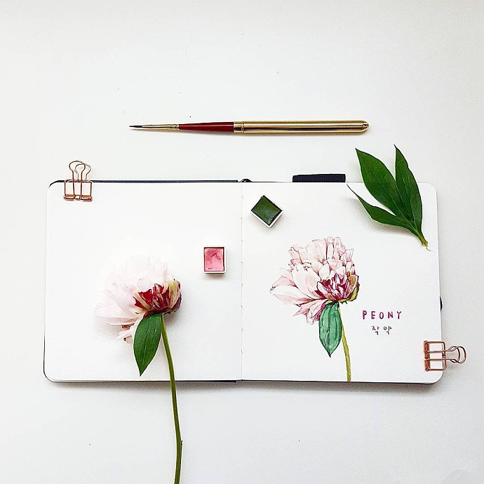 美丽的花儿们留不住,那么久画下来!