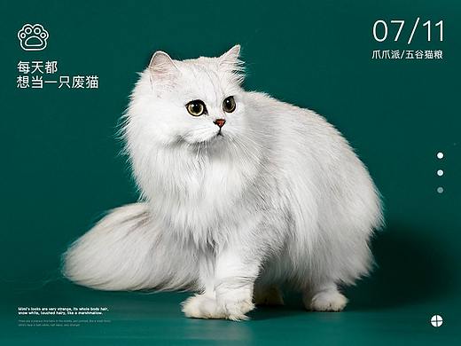 猫粮详情页