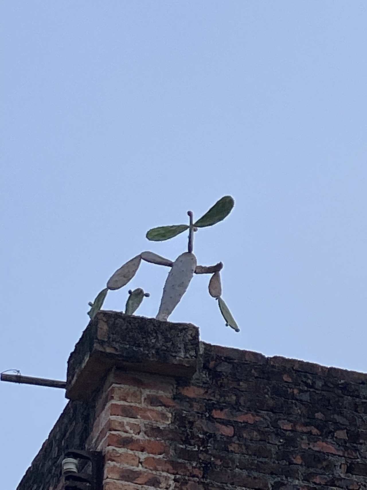 有蓝天白云也有乌云密布（图ZMjY1ODQ5MTYw） - 风光摄影 - 站酷设计师小让让原创素材 - 站酷ZCOOL