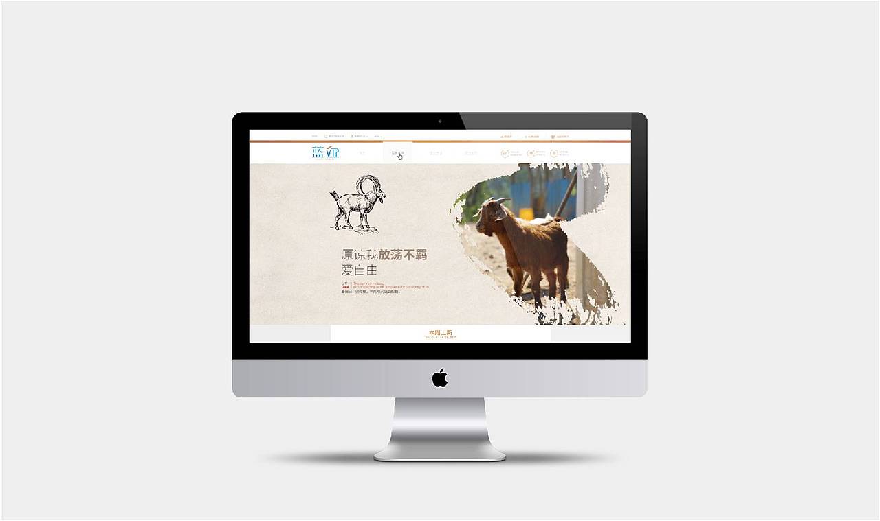 蓝血提案报告