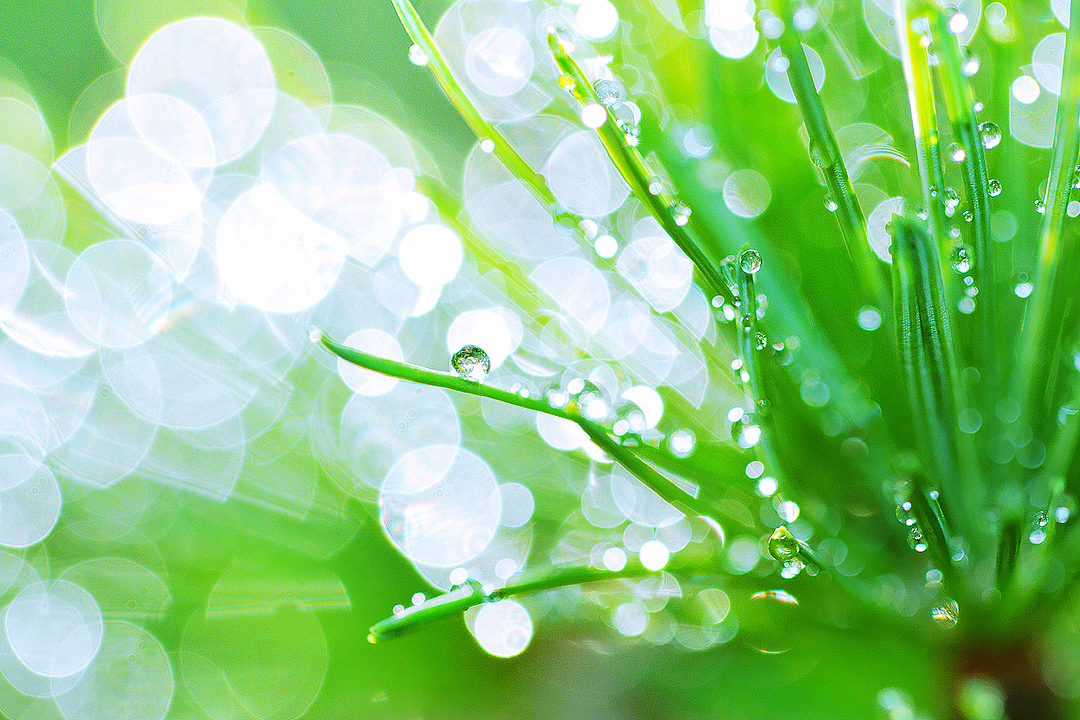 水珠儿（图ZMjkxNjk2MDA=） - 其他摄影 - 站酷设计师amhx原创素材 - 站酷ZCOOL