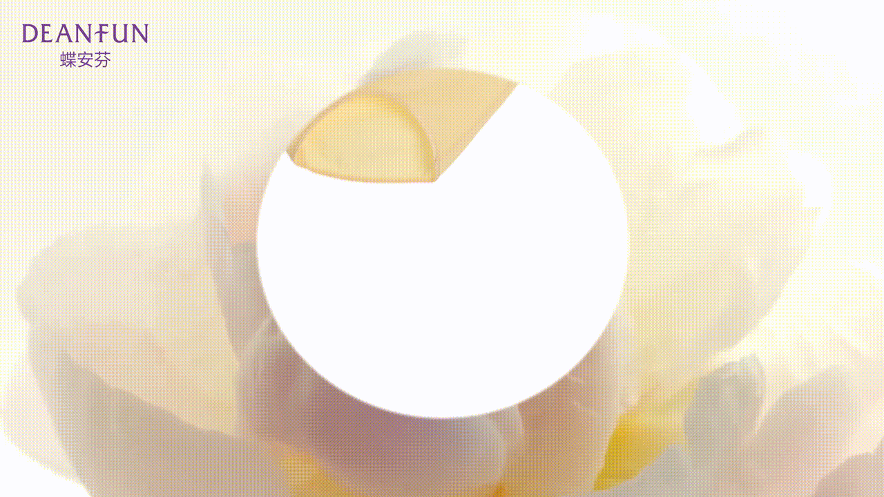 品牌视频 | 蝶安芬 x LIAOWO VISION