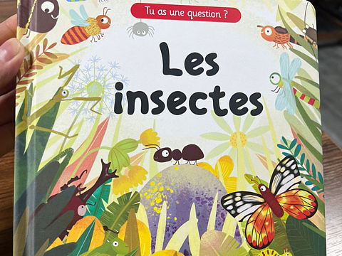 呦呦童国际版权输出篇之法文版