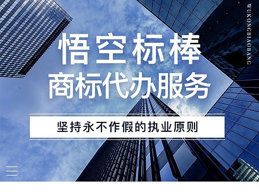 虚拟服务类 商标详情页