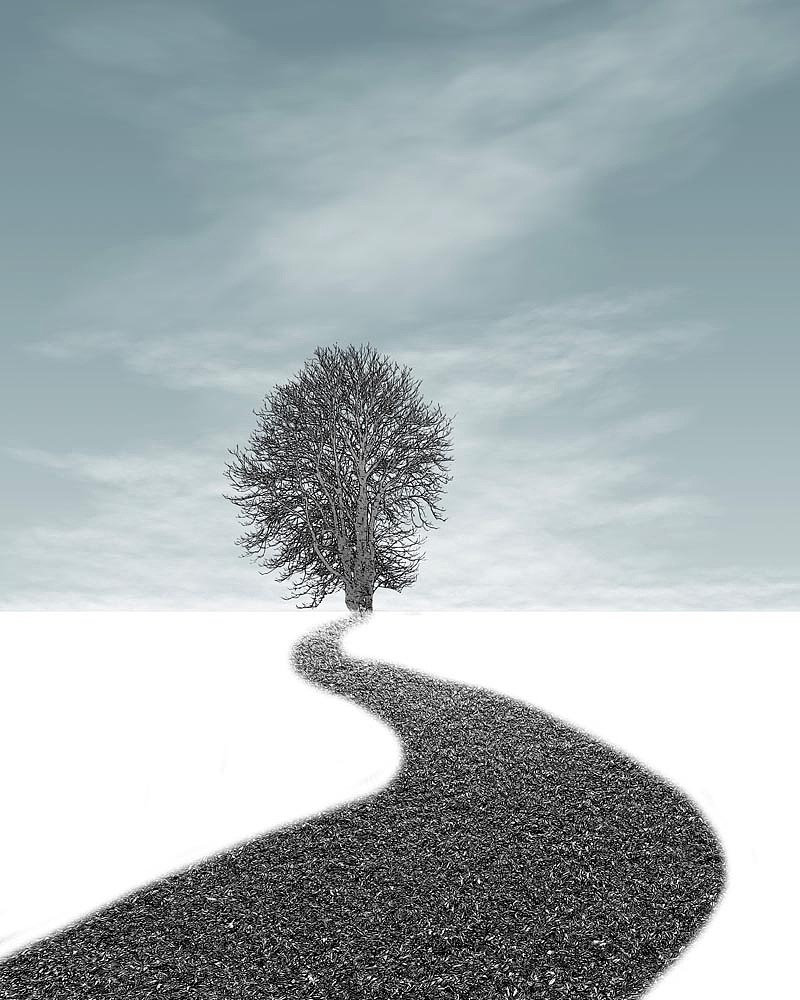 2022小清新香格里拉定制（图ZMjkwNzI5Mzc2） - 商业插画 - 站酷设计师窗帘图库原创素材 - 站酷ZCOOL