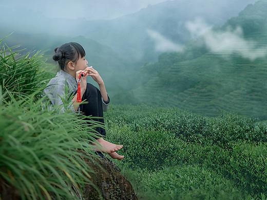 茶园