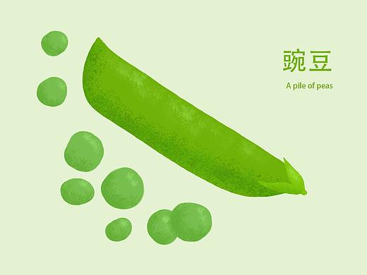 夏日水果系列