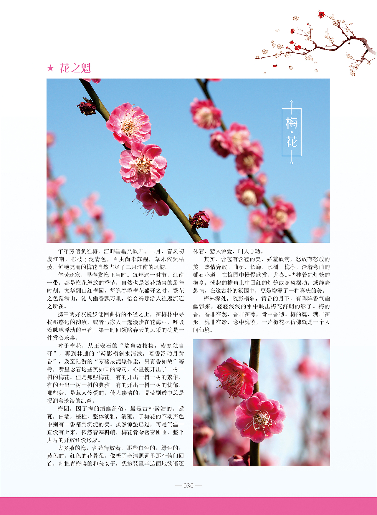 《陶都优品》