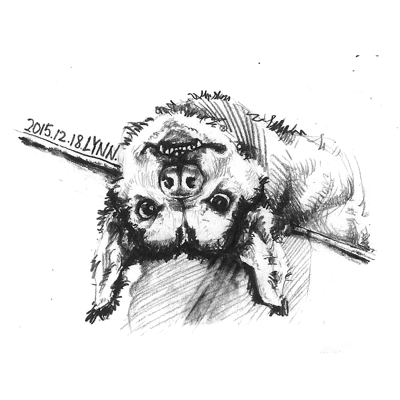 二哈手绘速写小稿（图ZMzkyOTc3ODQ=） - 绘画 - 站酷设计师与琳小馆原创素材 - 站酷ZCOOL