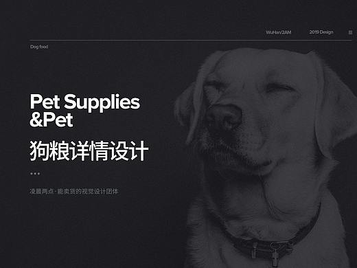 武汉凌晨两点-狗粮详情页
