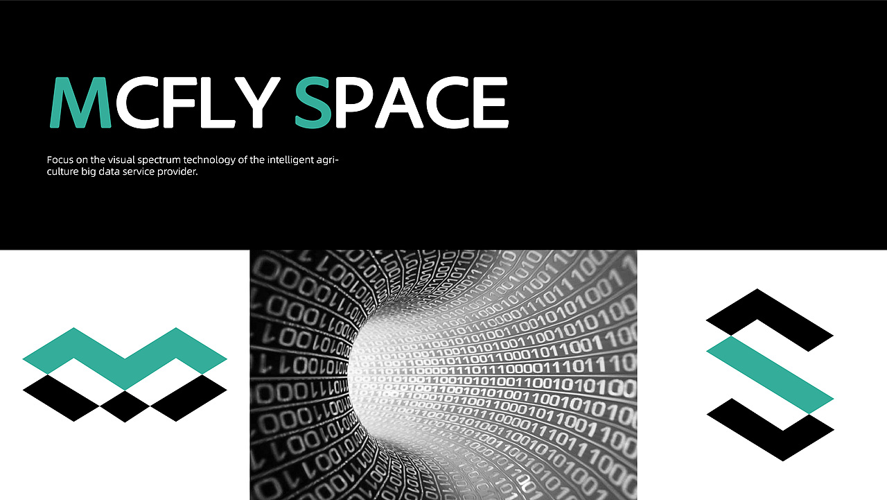 MCFLY-视觉设计