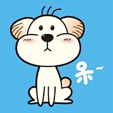 h435421413的头像