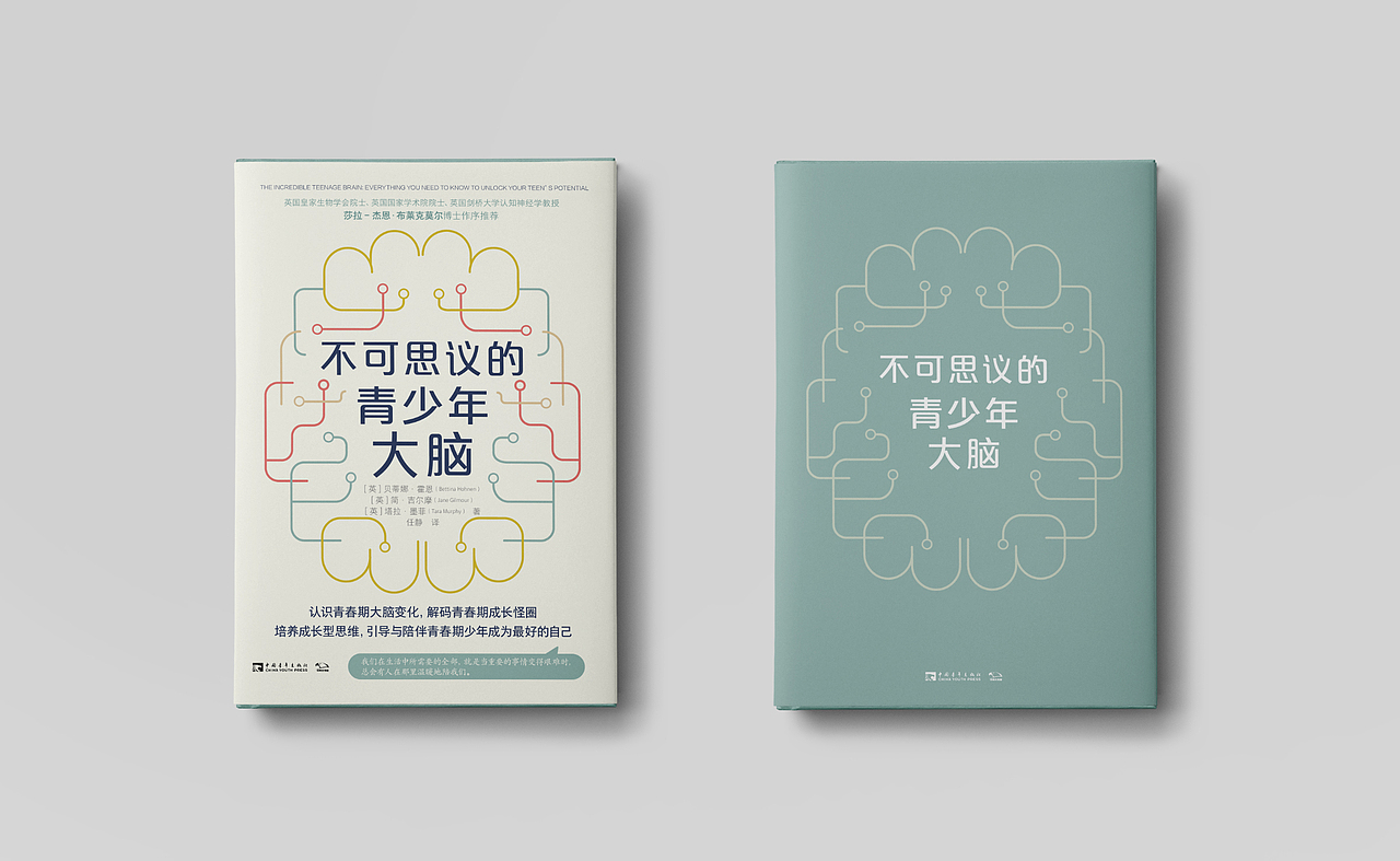 书籍设计 | 2020年出版书籍汇总 贰（图ZMjQwNjI0MjY0） - 书籍/画册 - 站酷设计师张艾米原创素材 - 站酷ZCOOL