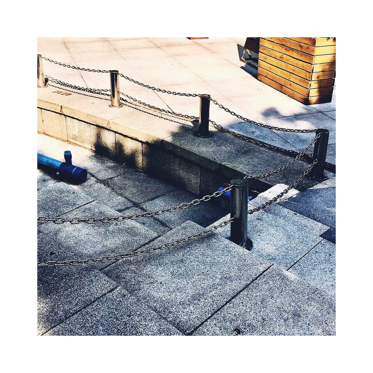 #广州没有冬天🍂(手机摄影)