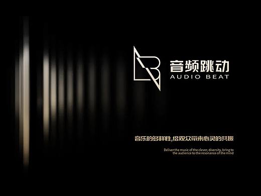 娱乐行业、音频跳动VI设计、定未品牌专业VI设计公司（个人主页-ZNTA2MTkwNDg=） - 品牌 - 站酷设计师定未品牌原创素材 - 站酷ZCOOL