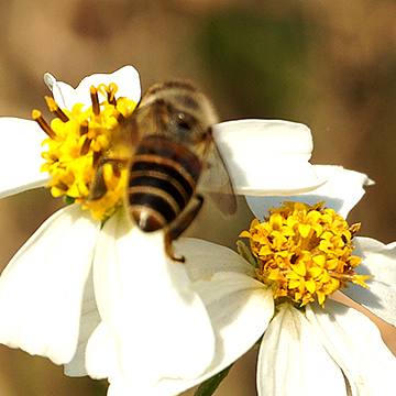 摄影（图ZMjM4MzA4MjE2） - 风光摄影 - 站酷设计师没有用户名ya原创素材 - 站酷ZCOOL