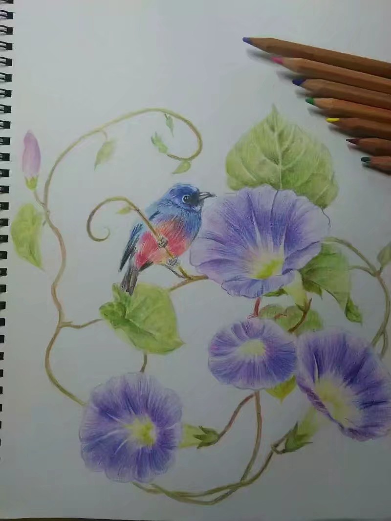 手绘作品（图ZMTYyNDkxOTY4） - 创作习作 - 站酷设计师贝加尔湖畔_L原创素材 - 站酷ZCOOL