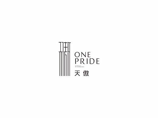 天傲视觉系统