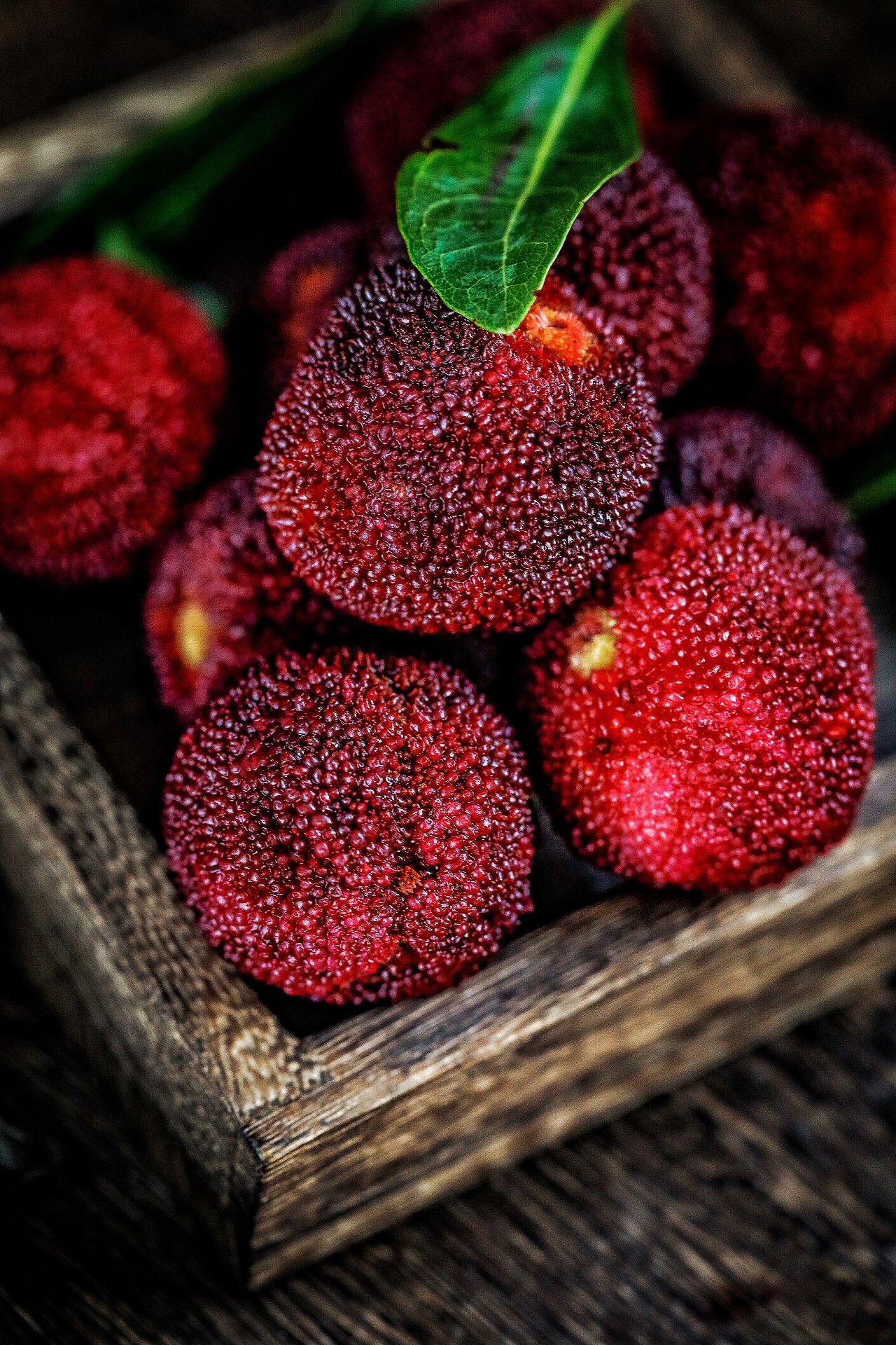 杨梅|摄影|产品摄影|apin阿品 - 原创作品 - 站酷 (zcool)