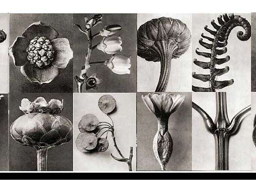 金佛山俊怿大酒店 软装设计方案