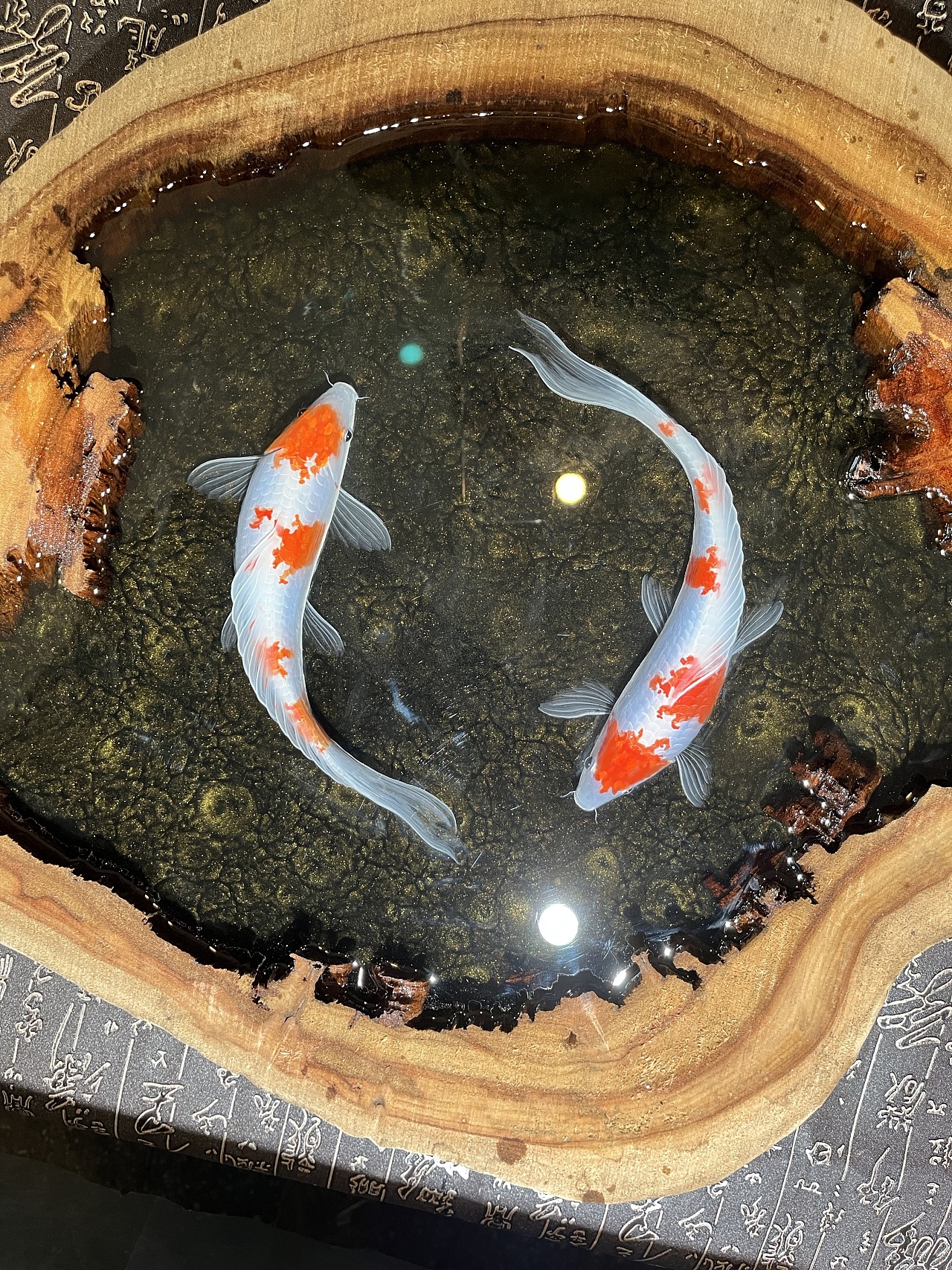 树脂画工艺品(锦鲤跃然)|手工艺|其他手工艺|哩哩啦啦榴莲 - 原创作品