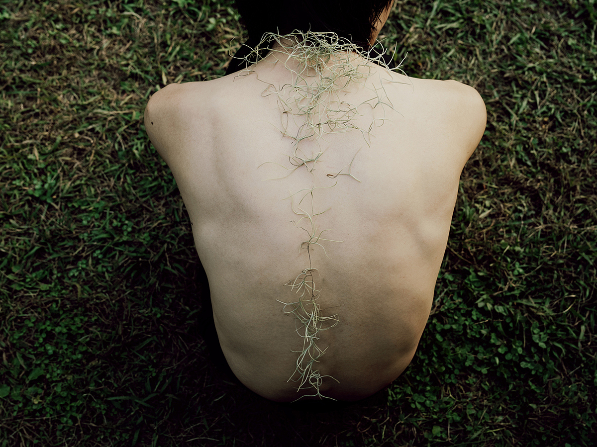 时间酿酒,余味成花。