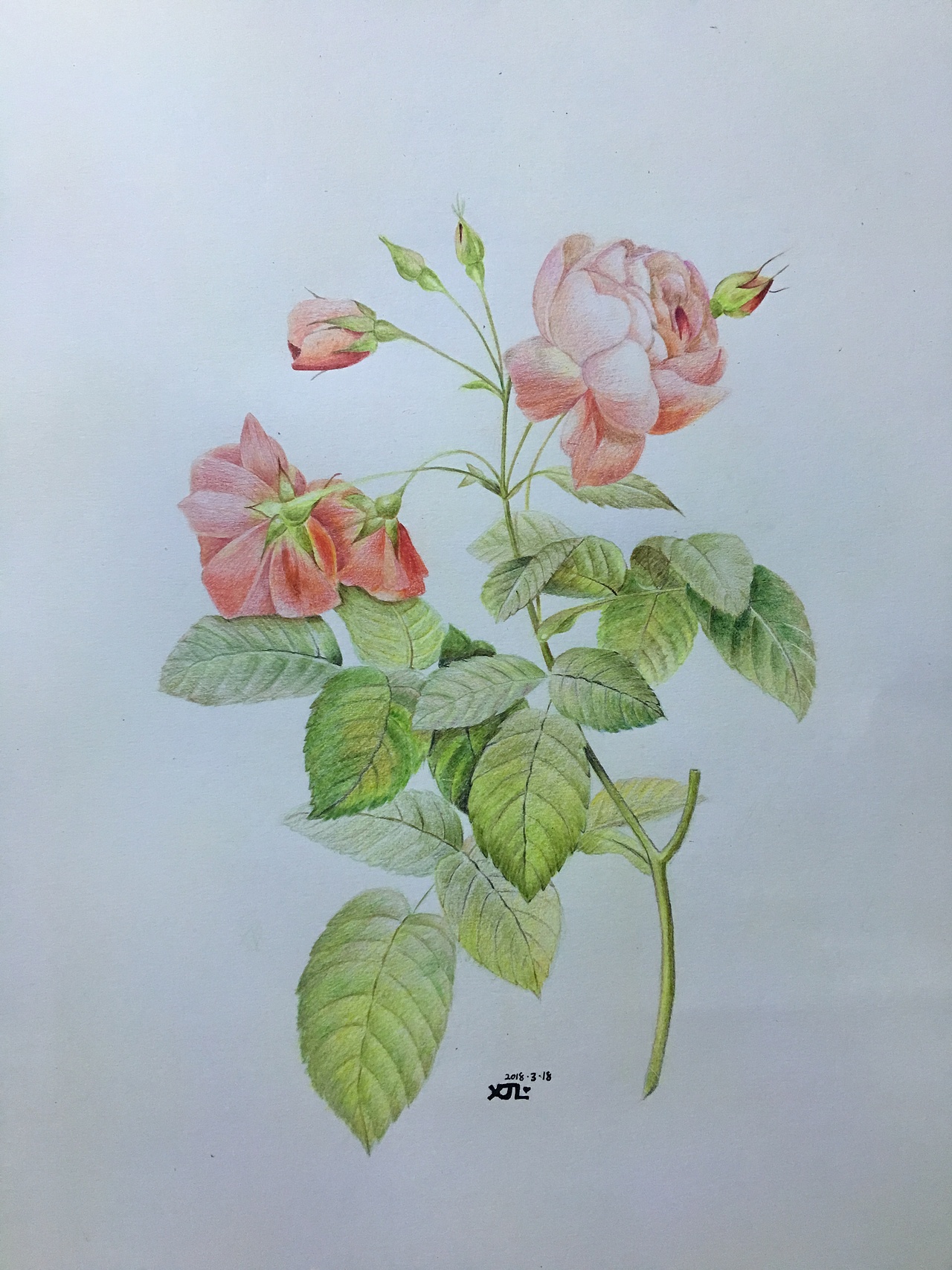 彩铅临摹（图ZMTE4NzIyMTgw） - 商业插画 - 站酷设计师月巴ing佳原创素材 - 站酷ZCOOL