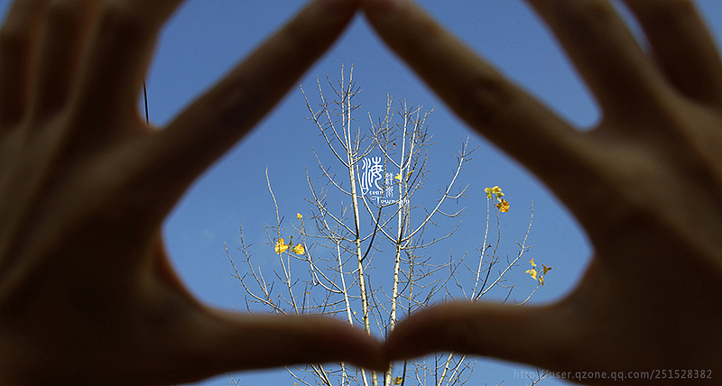 翻出来的海洋·海洋乡