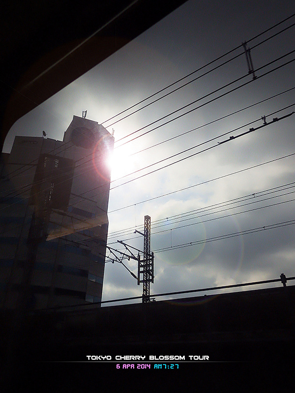 2014日本賞櫻之旅