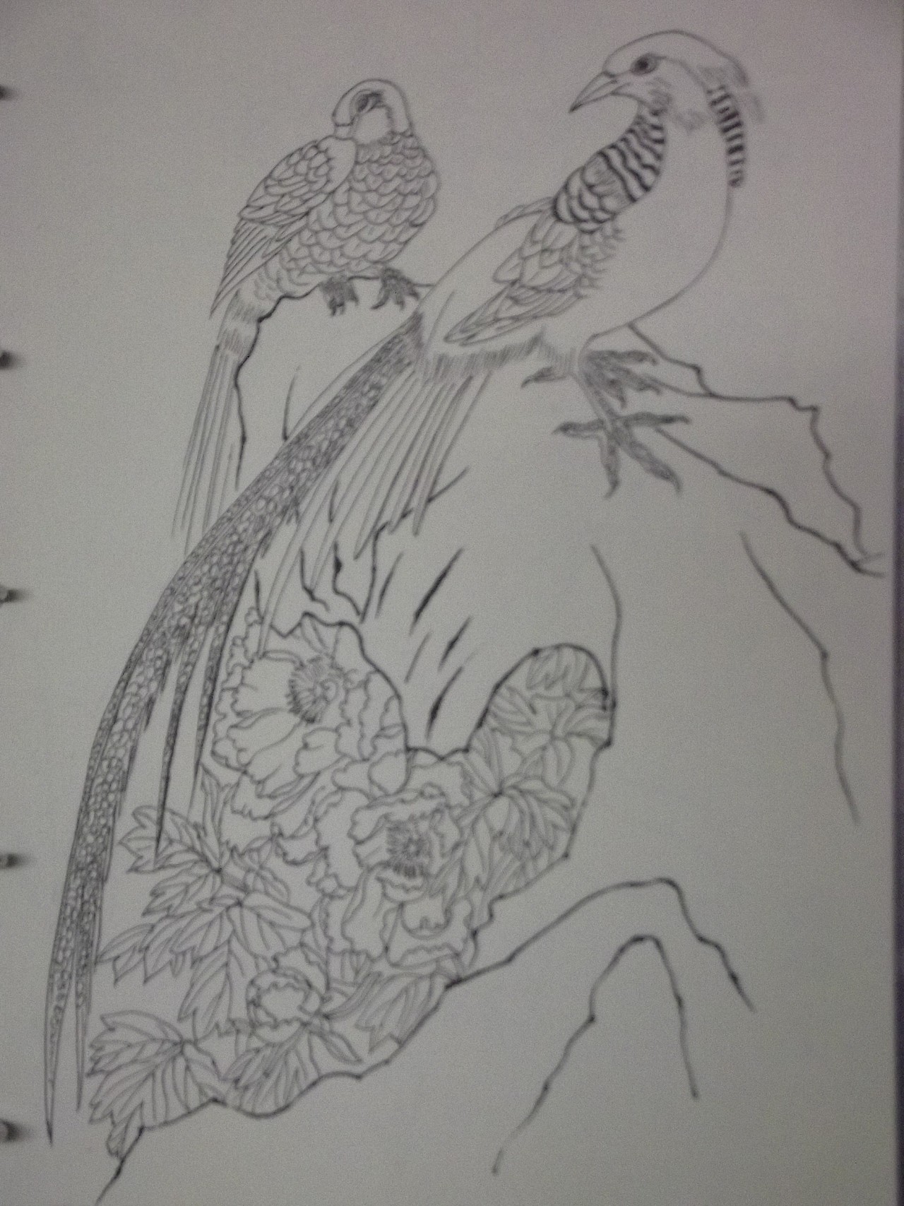 钢笔速写（图ZNTk1NjMyODQ=） - 艺术插画 - 站酷设计师甲甲玲原创素材 - 站酷ZCOOL