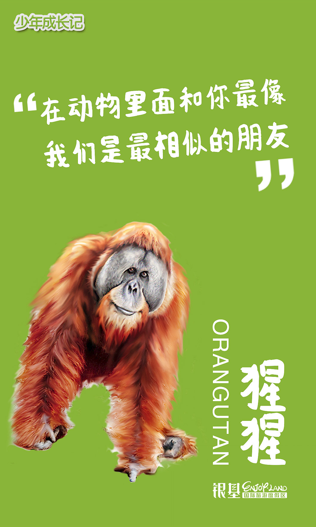 银基动物王国海报