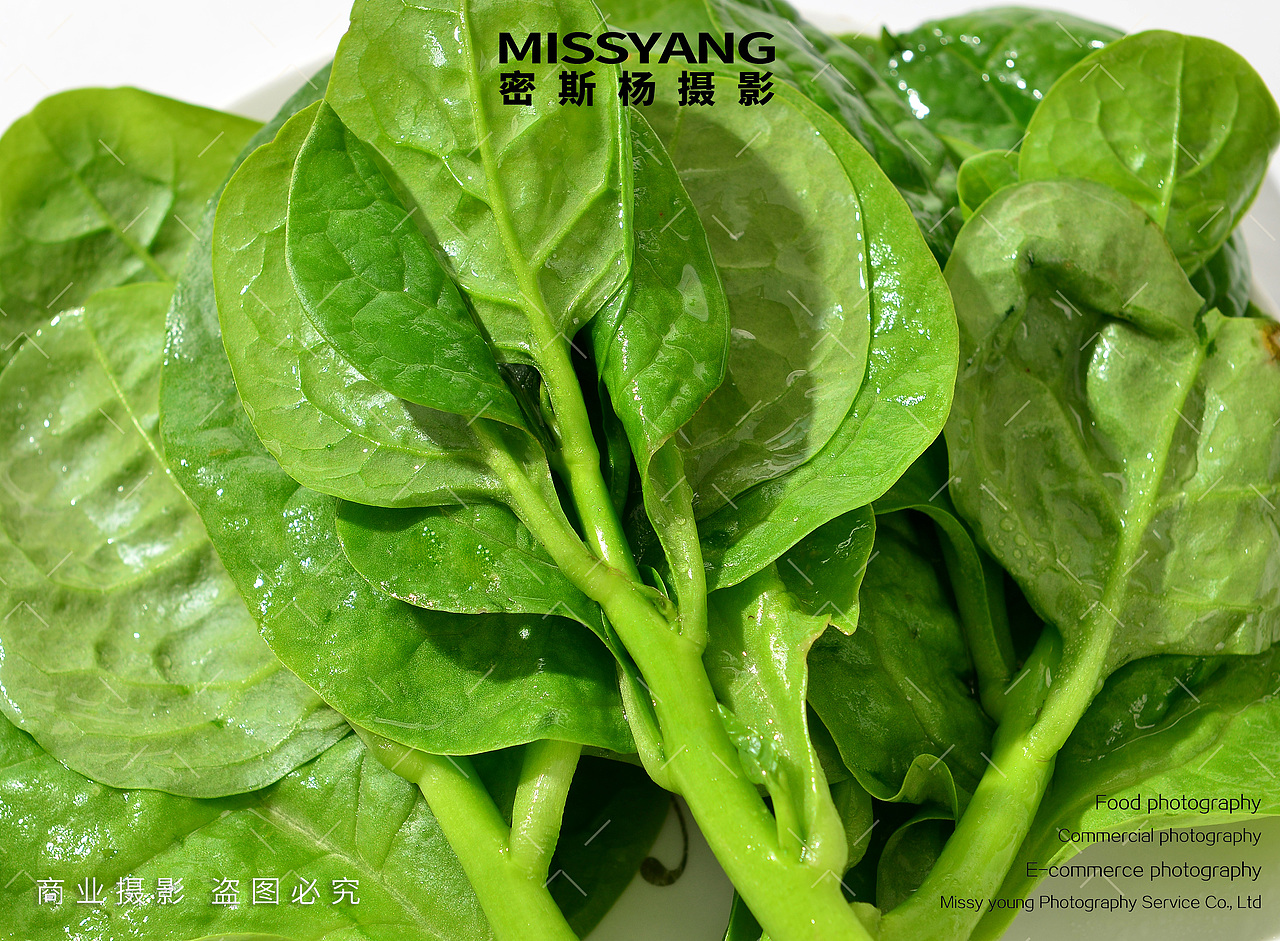 生鲜木耳菜蔬菜|美食摄影|电商产品摄影|×郑州密斯杨