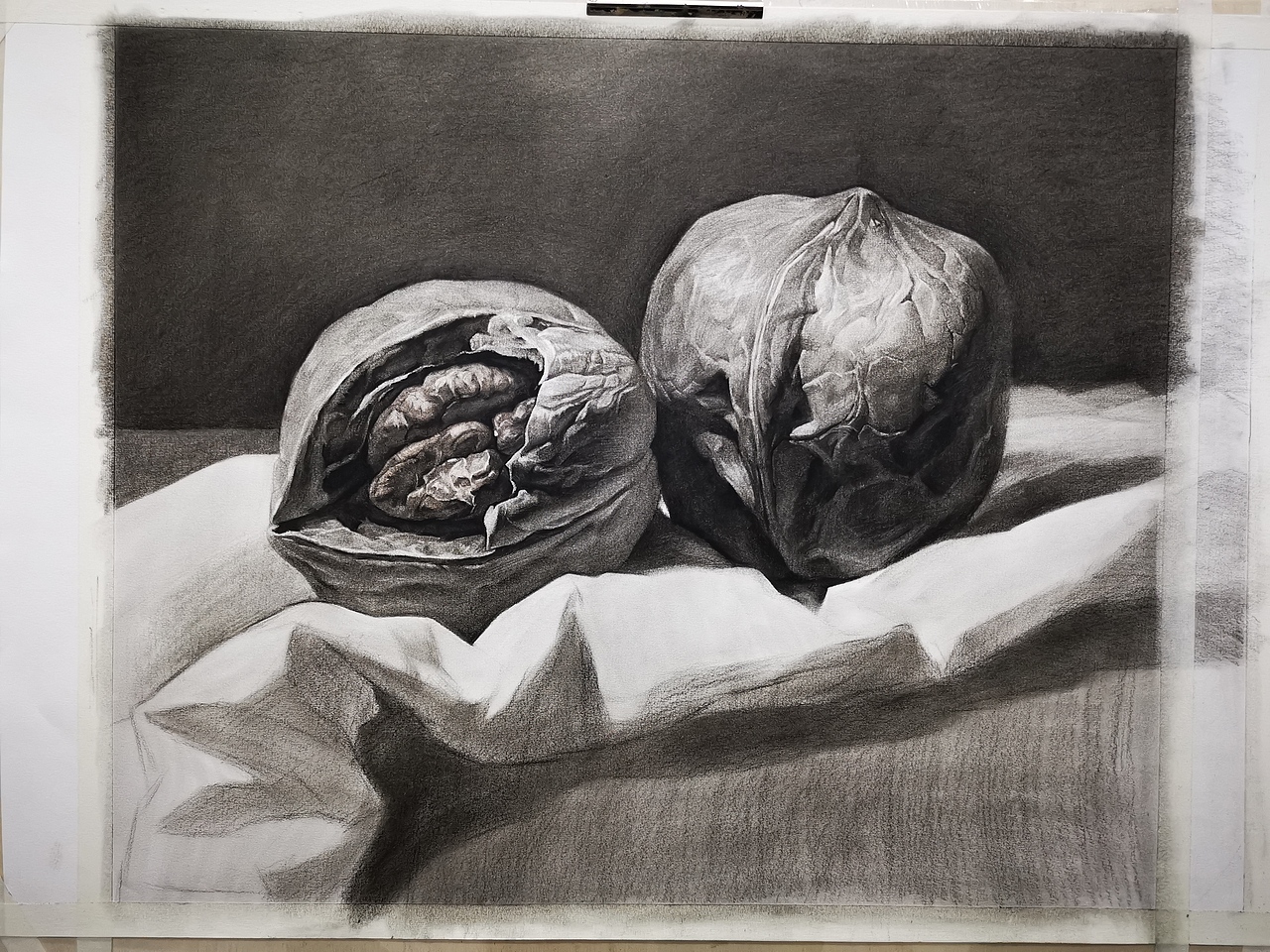 素描静物大核桃