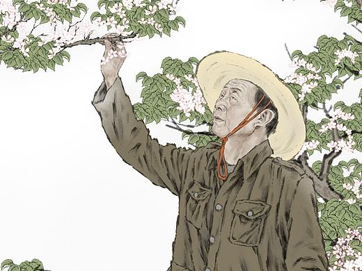 纪保超书籍插画设计《爷爷的苹果园》