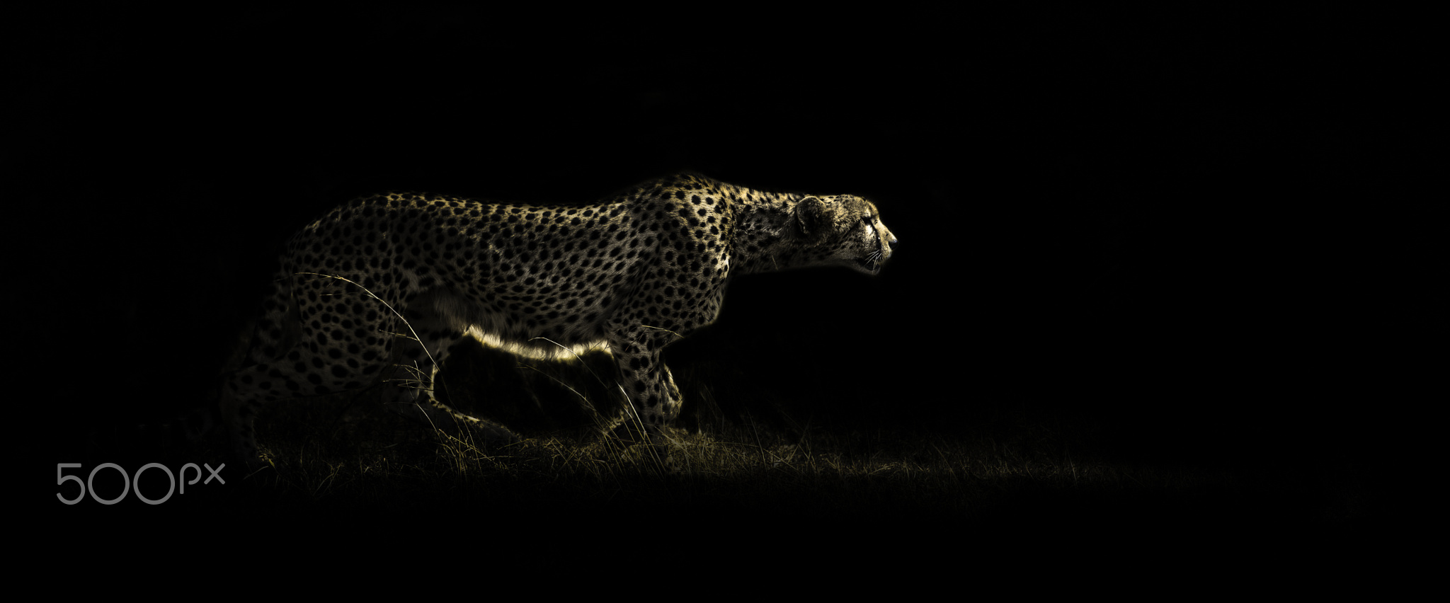 電商資深攝影設(shè)計(jì)的個(gè)人主頁（封面預(yù)覽） - 主頁封面設(shè)置 - 站酷設(shè)計(jì)師電商資深攝影設(shè)計(jì)原創(chuàng)素材 - 站酷ZCOOL