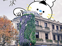 和tooo一起逛武汉