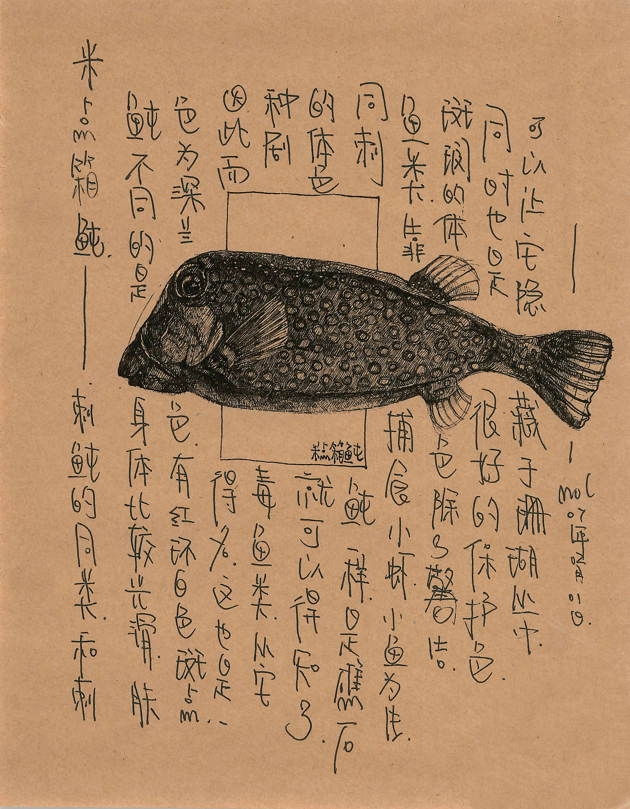 这个关于海鲜的插画手稿（终）（图ZMTM2ODEwOTcy） - 创作习作 - 站酷设计师daimol原创素材 - 站酷ZCOOL