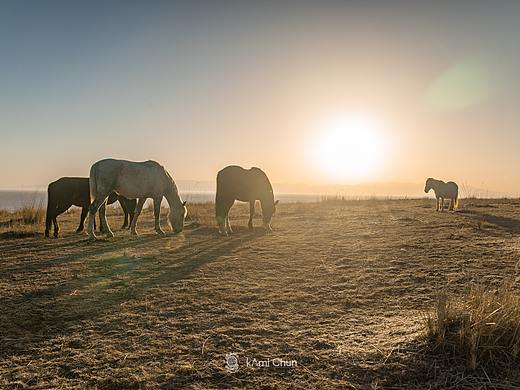 青海与甘南 | 写生沿途风光摄录